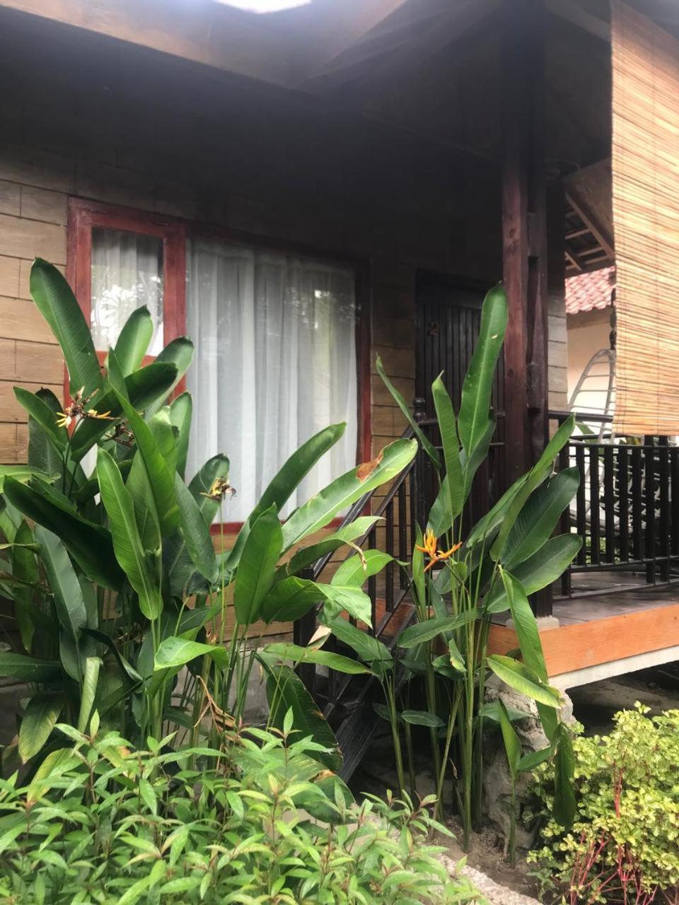 Ferienwohnung Zifa Mandalika Kuta  Exterior foto